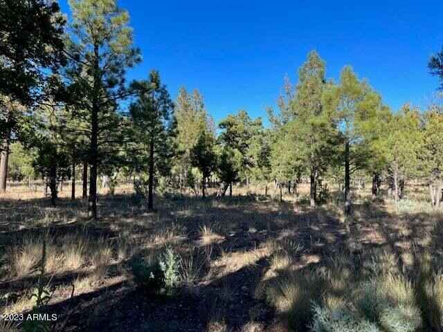 2399 PINE Crst Dr  