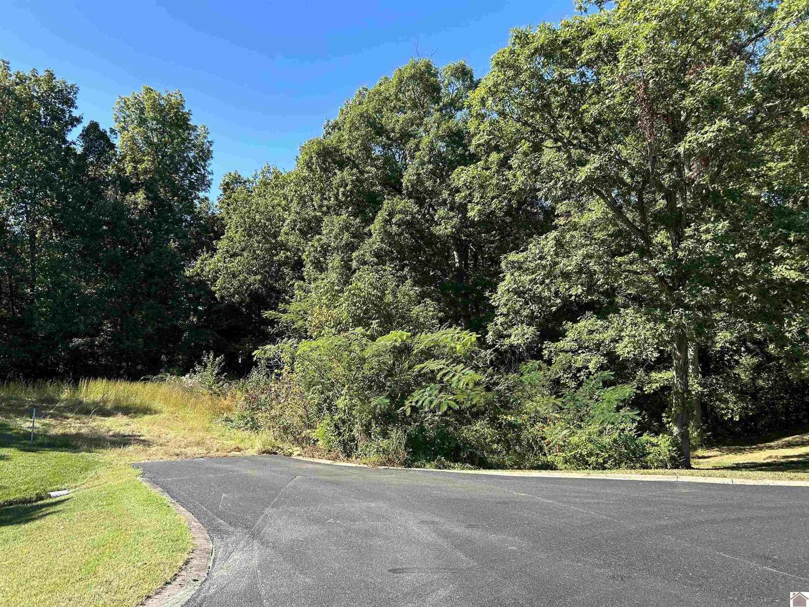 Lot 18 Seneca Ct  