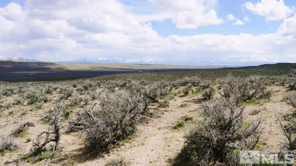 00534008 Willow Corral Pass Rd  