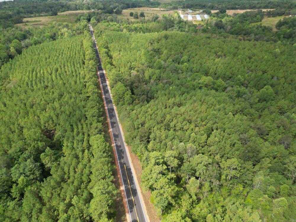 - State Hwy 35  