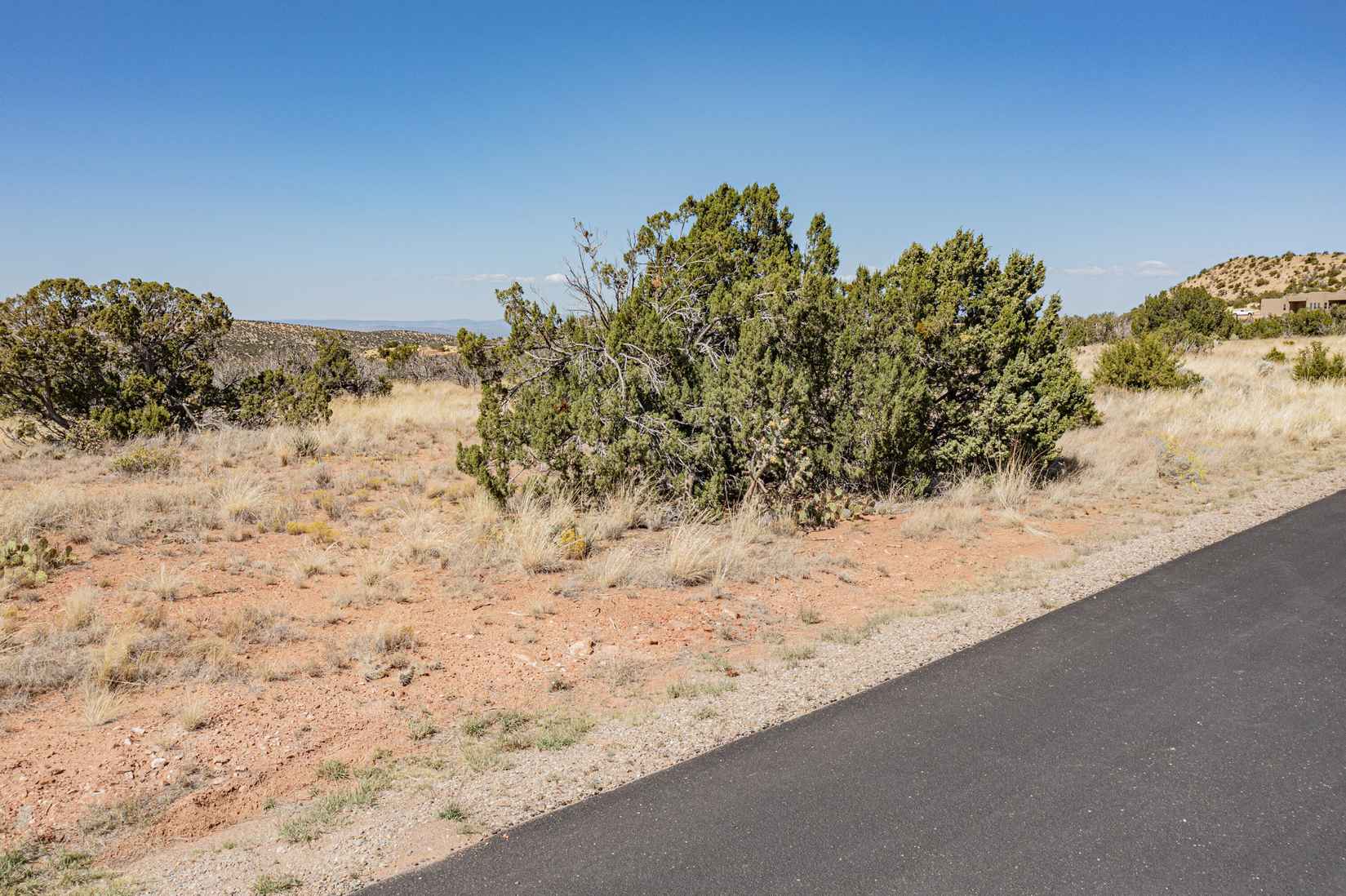 261 Diamond Tail Rd  