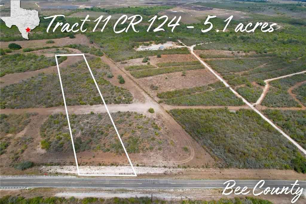 TRACT 11 Cr 124  