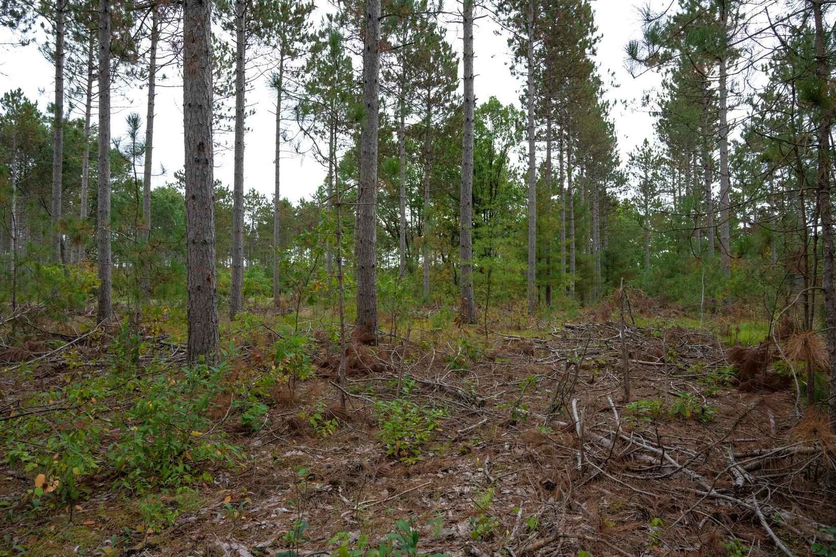 Lot 2 Bollig Ct  