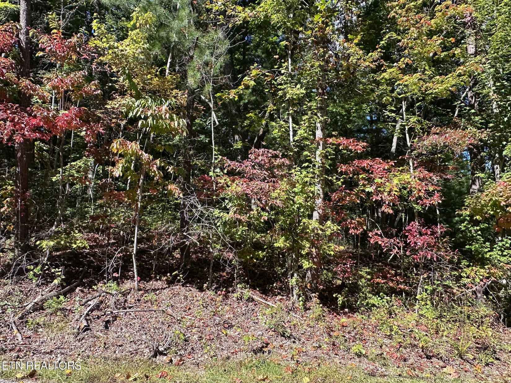 Lot 33 Bear Rd  