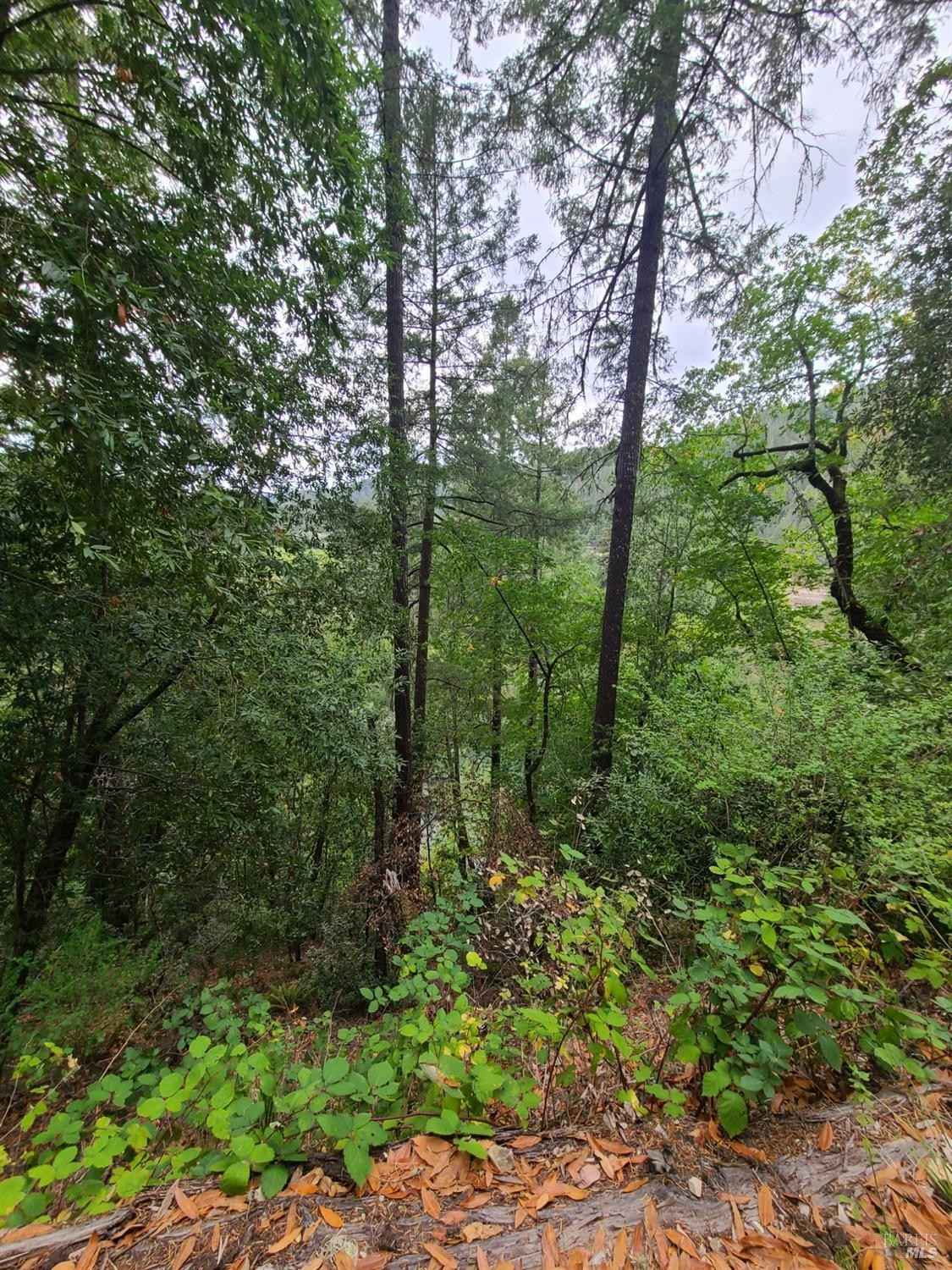 11348 Ter Dr  