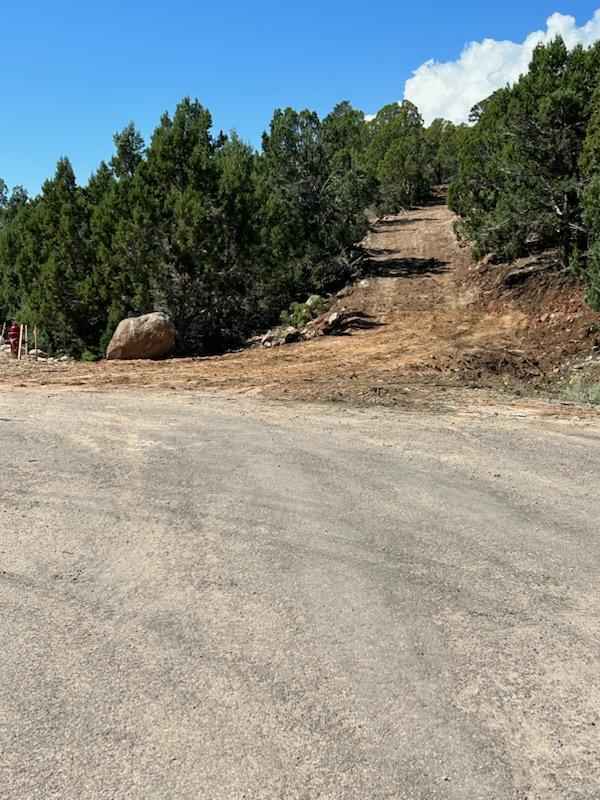 Lot 51 S Bareback Rd  