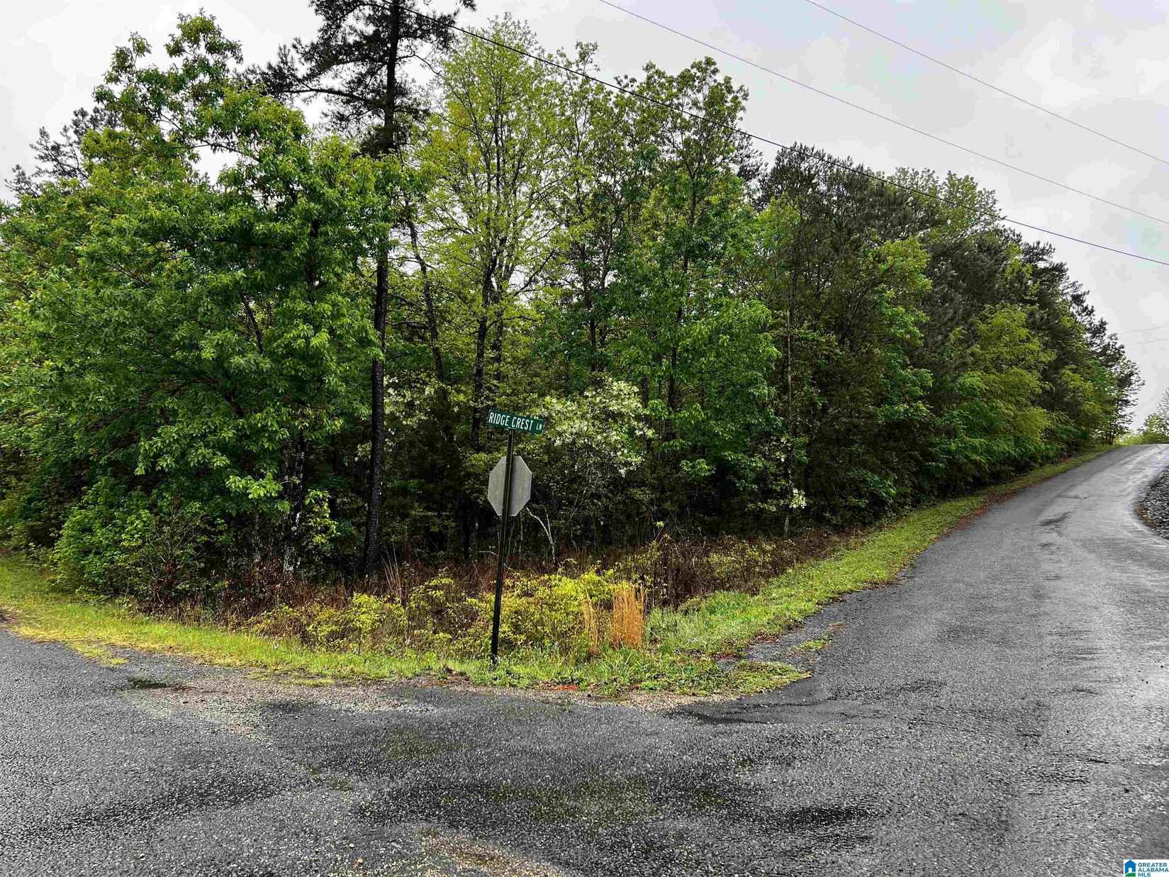 384 Ridgeview Dr  
