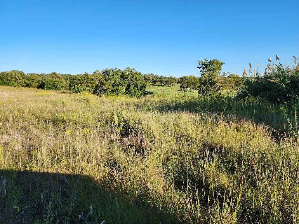 TBD Texas 237  