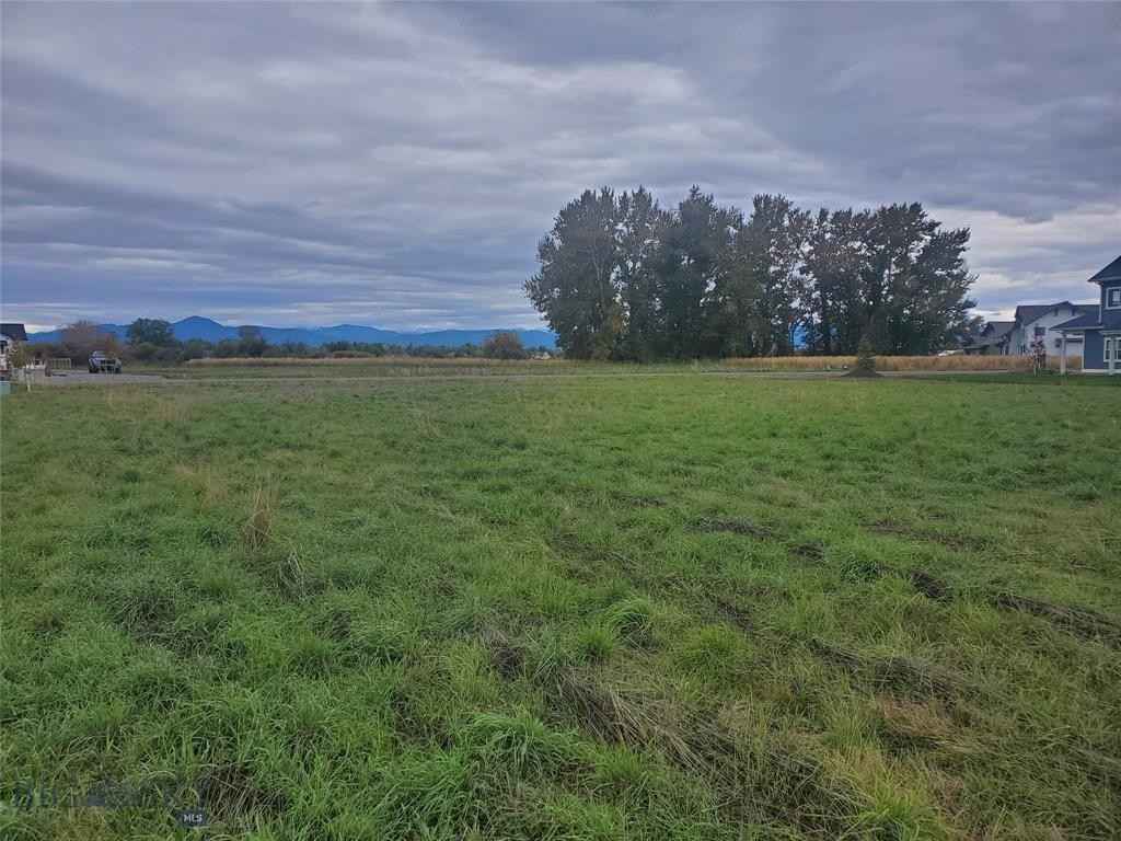 Lot 8 East Riparian Way  