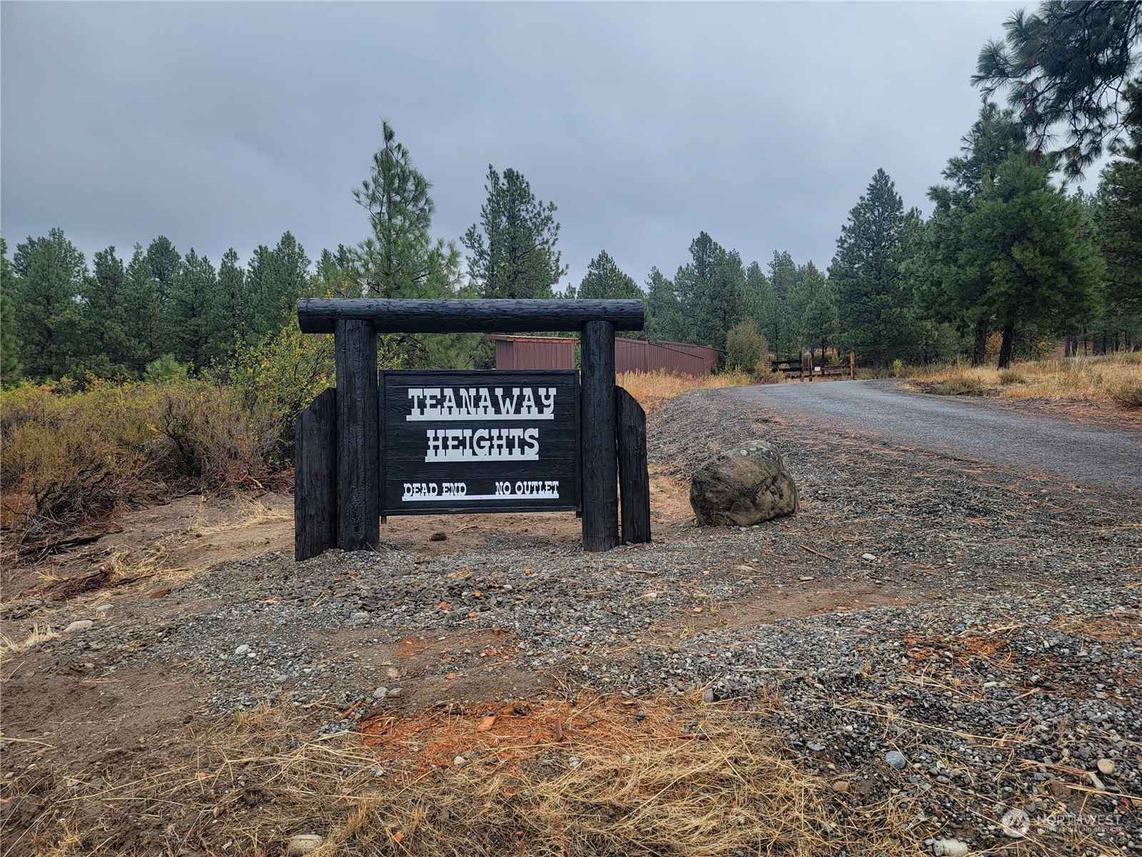 341 Teanaway Ridge Way  