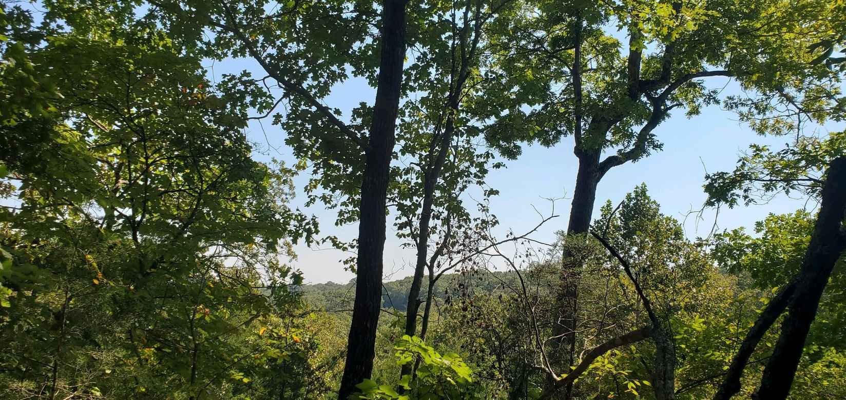 Lot 3 4 24 Adams Rd  
