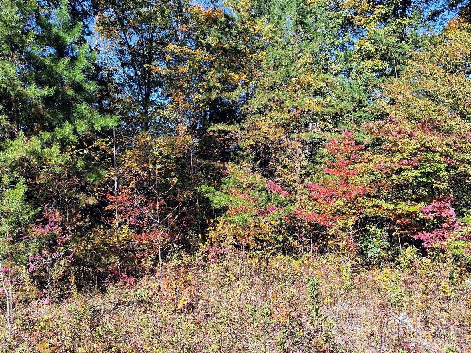 2 63 Acres Nathan McDaniel Dr  