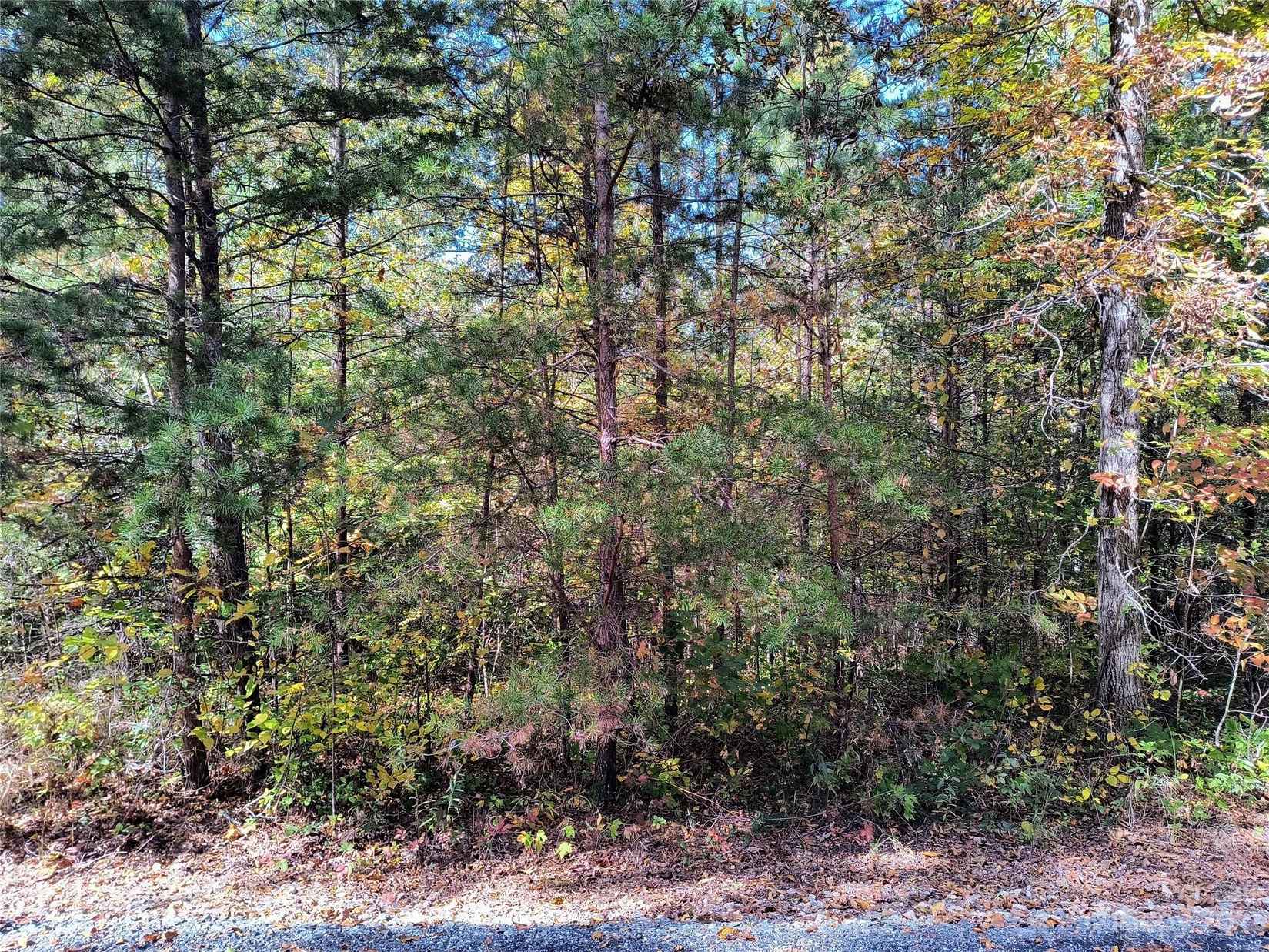 1 32 Acre Lot Nathan McDaniel Dr  