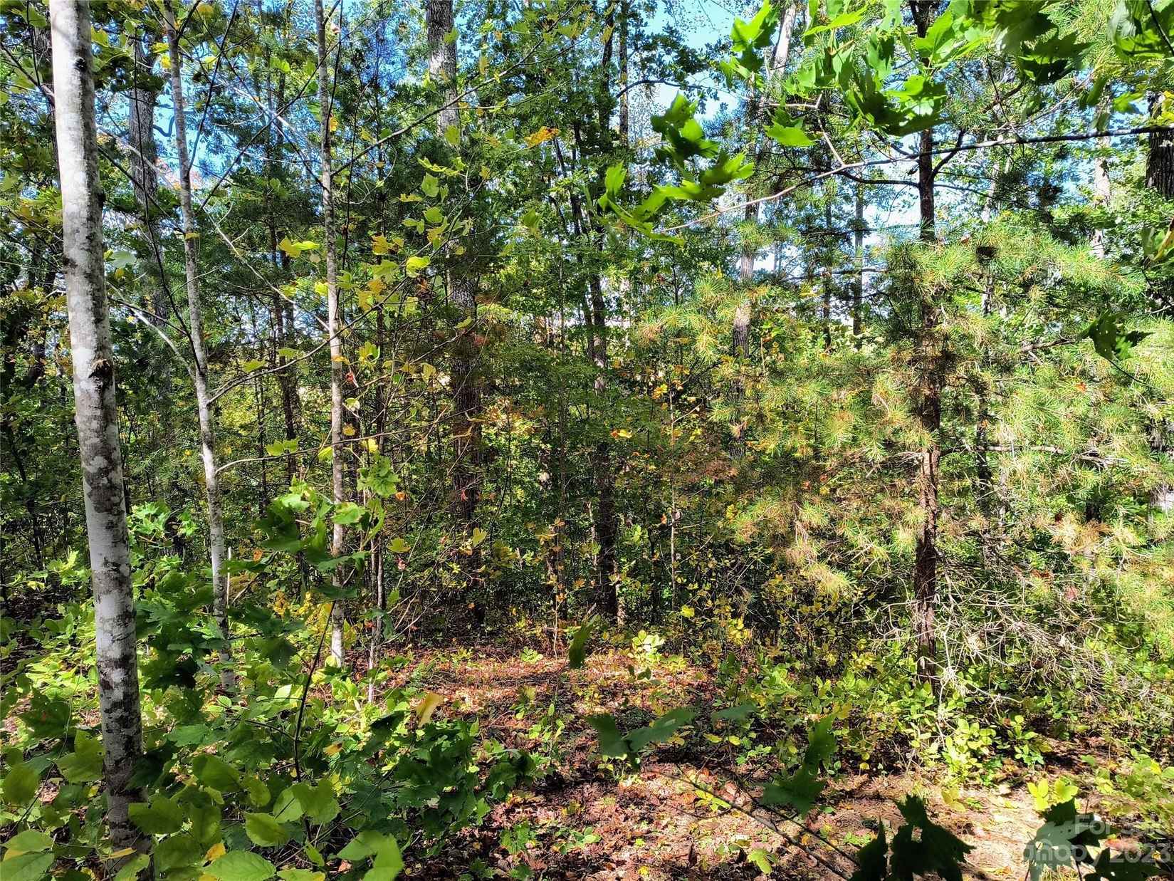 1 31 Acre Lot Nathan McDaniel Dr  