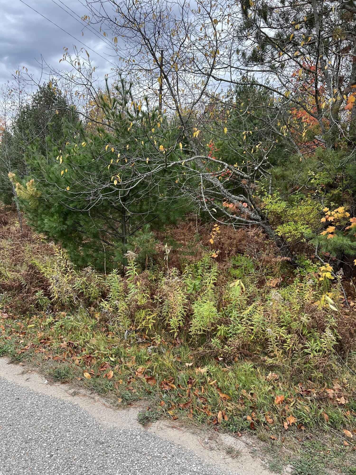 Lot 15 Sherry Lynn Dr  
