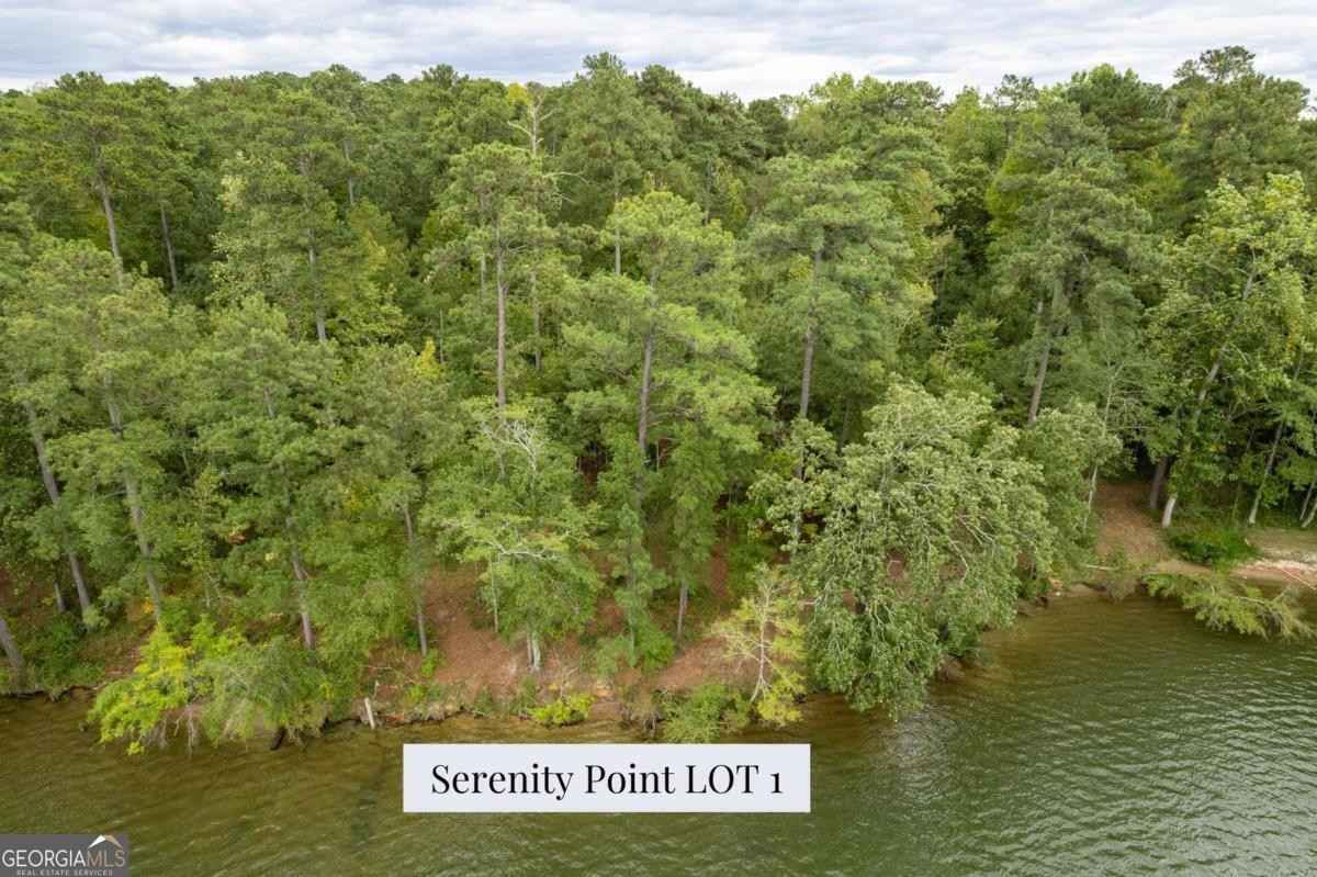 LOT 1 Serenity Pt  
