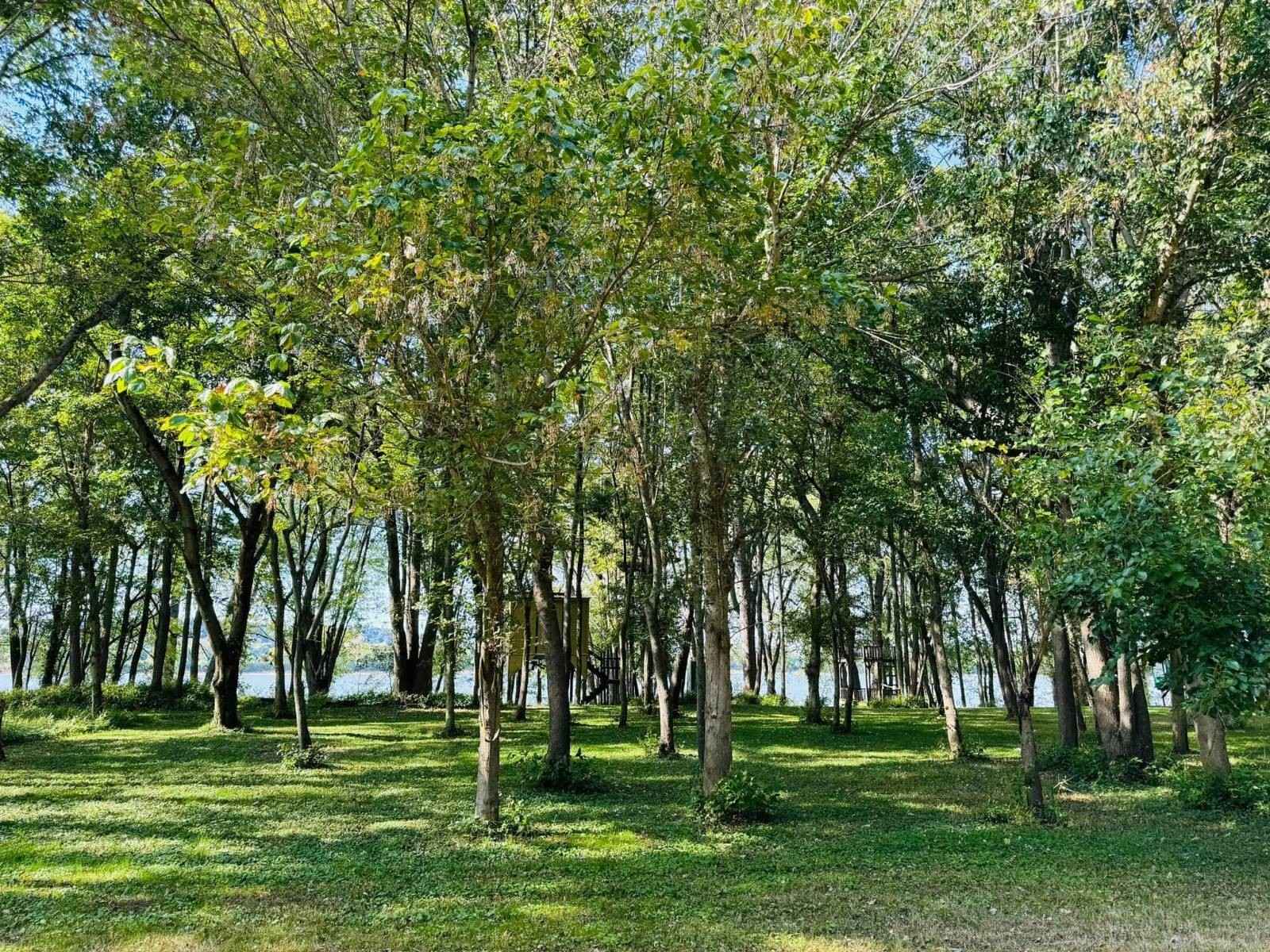 Lots 3 and 4 First St  