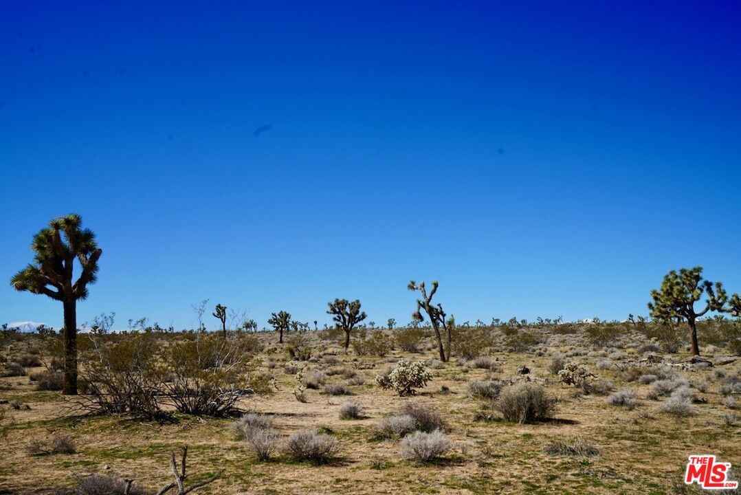 0 Yucca Mesa Rd  