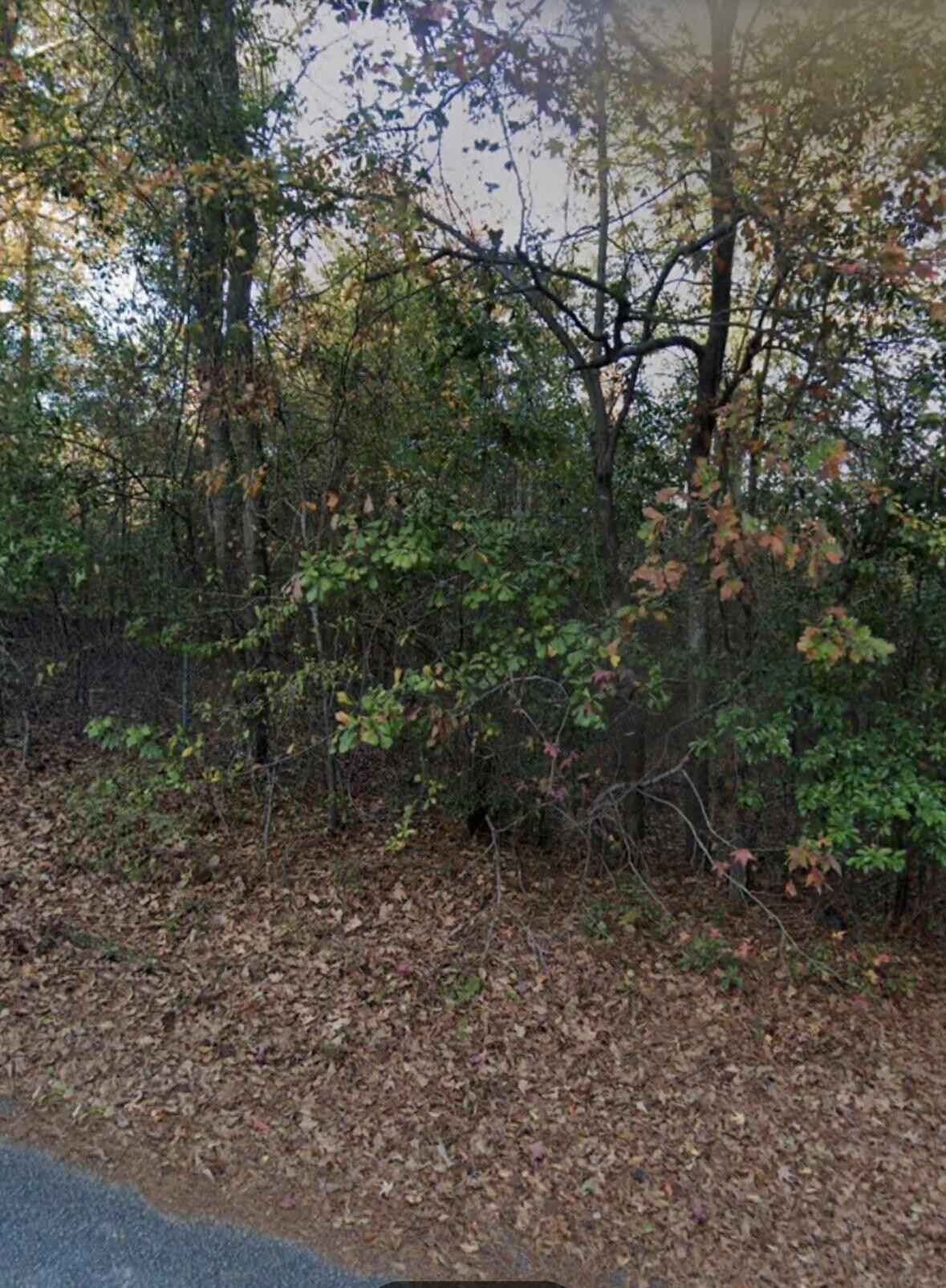 7709 GA Hwy 18  