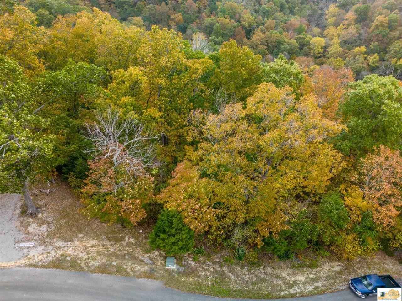 #11 Peachtree Ln  