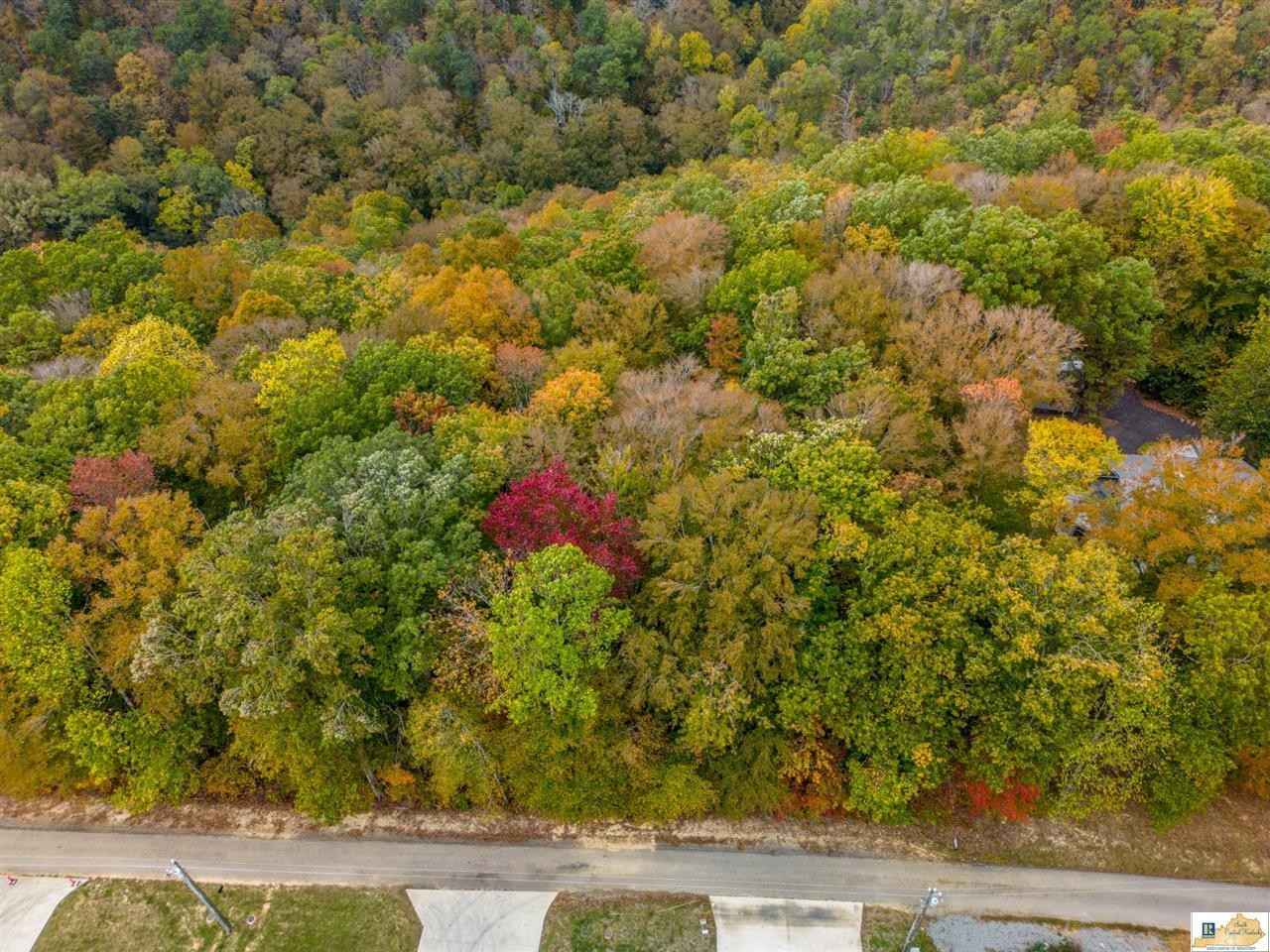 Lot 25 Peachtree Ln  