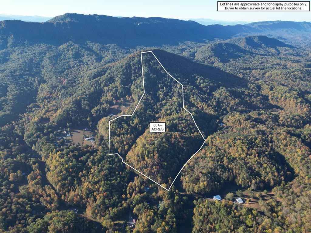 65 ACRES Sugarloaf Mtn Rd  