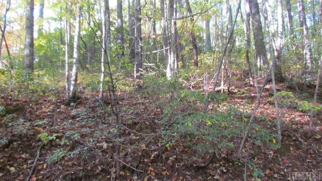 Lot Unit 113 West Christy Trl  