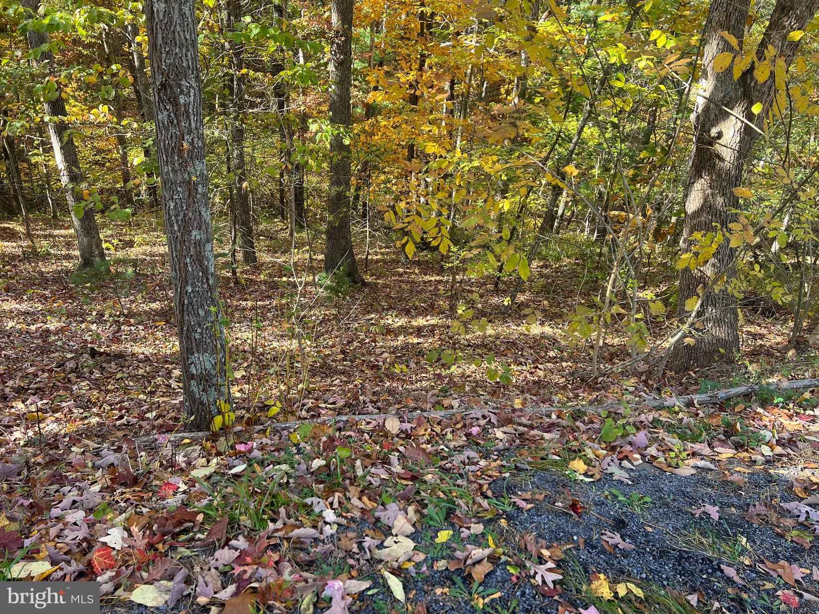 Lot 11 BRAWLEY Ln  