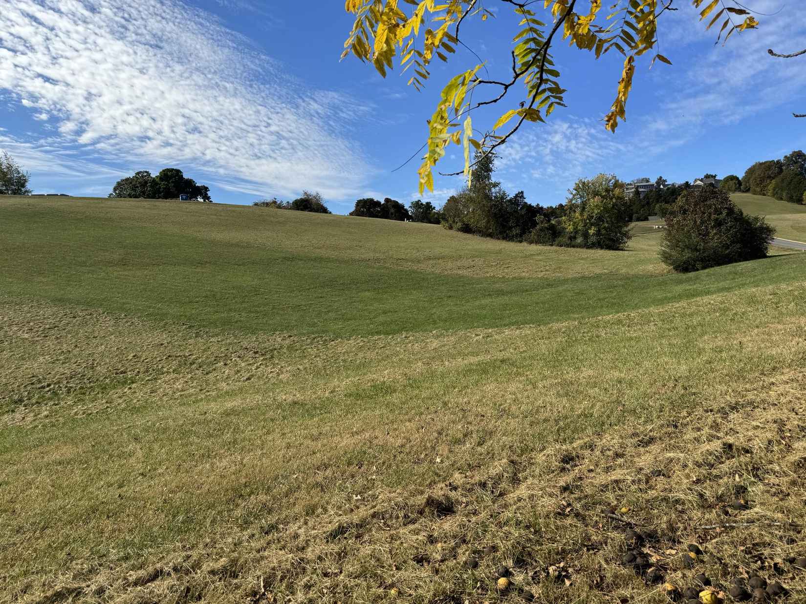 Shiloh Springs Rd Lot 44  