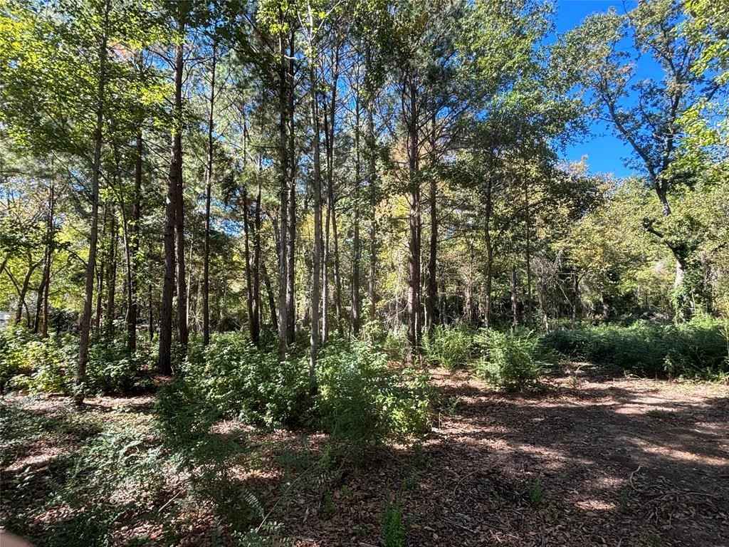 Tbd B County Road 2223 Cook Rd  