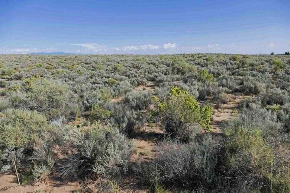 Gallo Lot 14 15  
