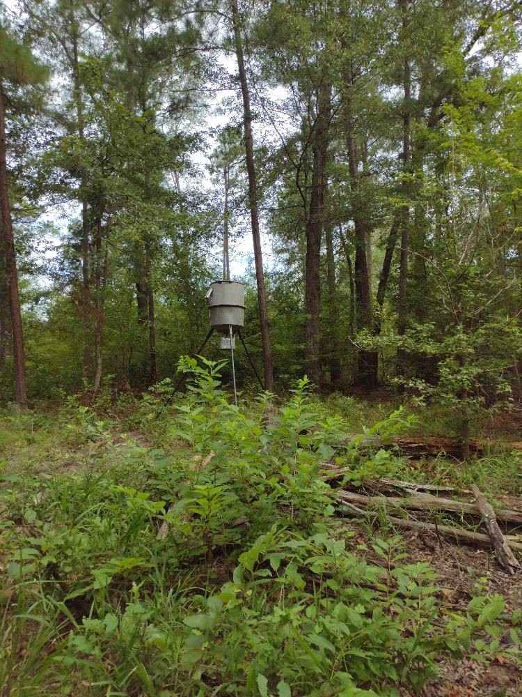 TBD SH 154 Diana South RD  