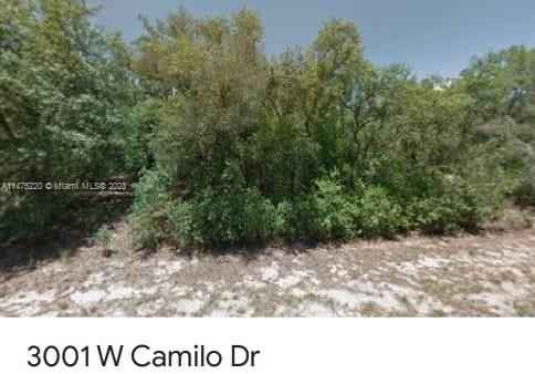 3001 W Camilo  