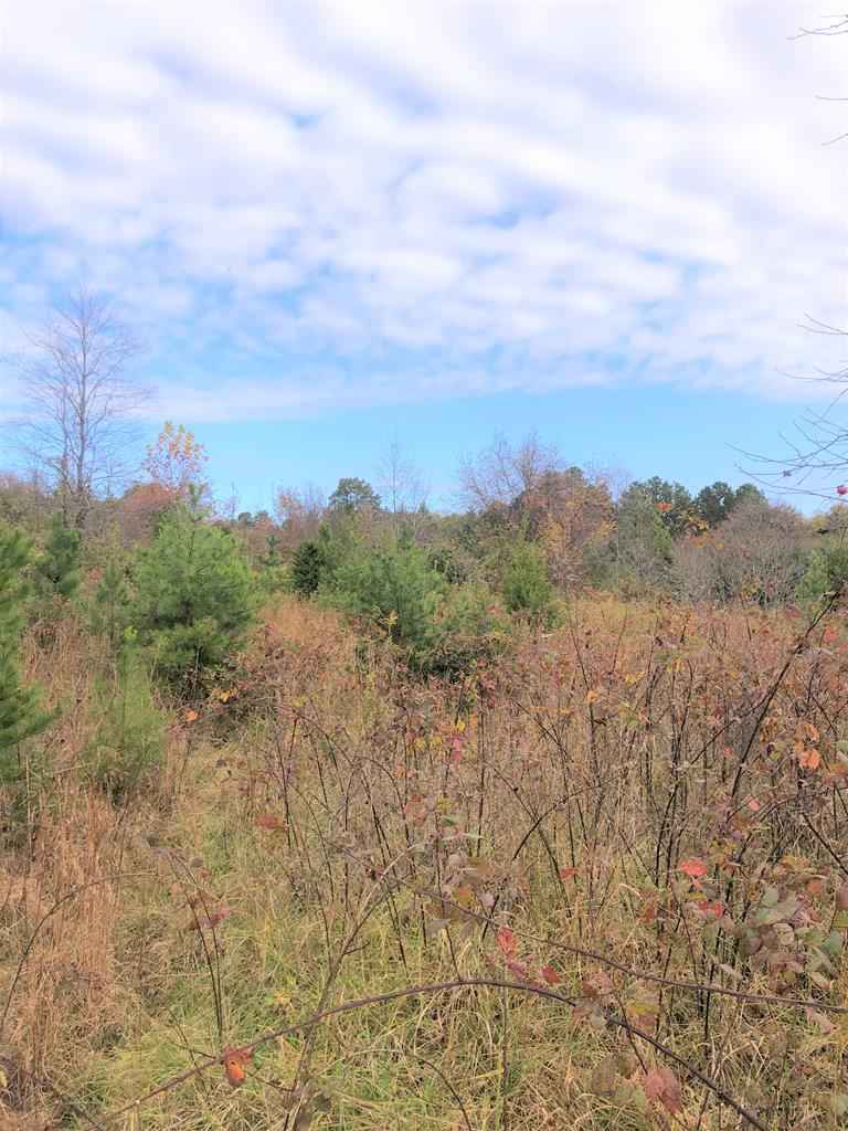 2 26 AC Dryburg Rd  
