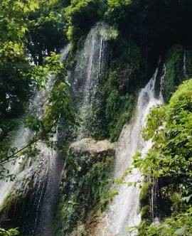 200 Block Lemon Bnd Rd  