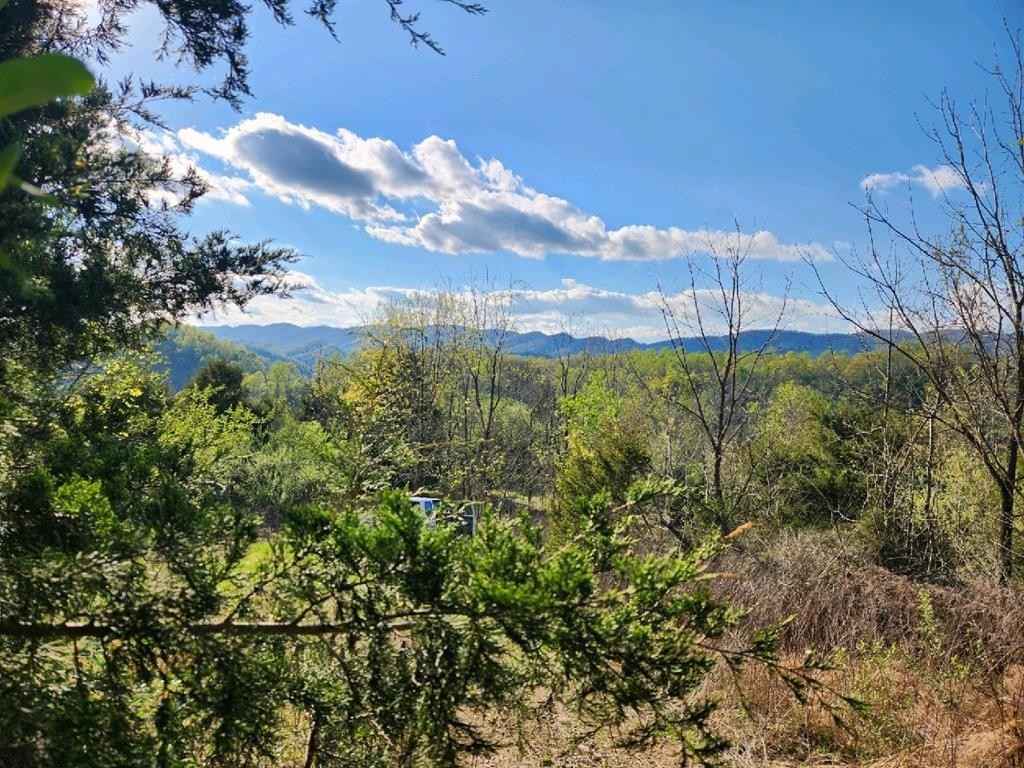 9296 Bristol Hwy  