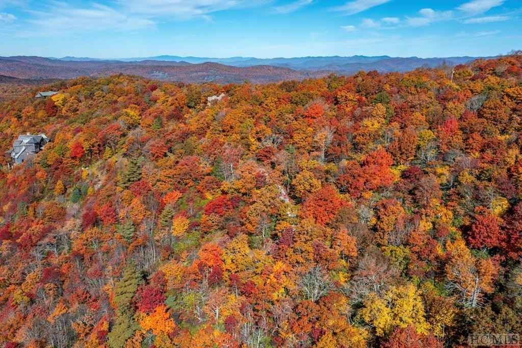 Lot 36 Longwing Dr  