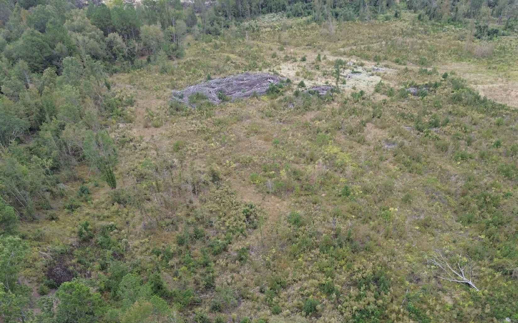 Lot 4 2730 S AR Hwy 7  