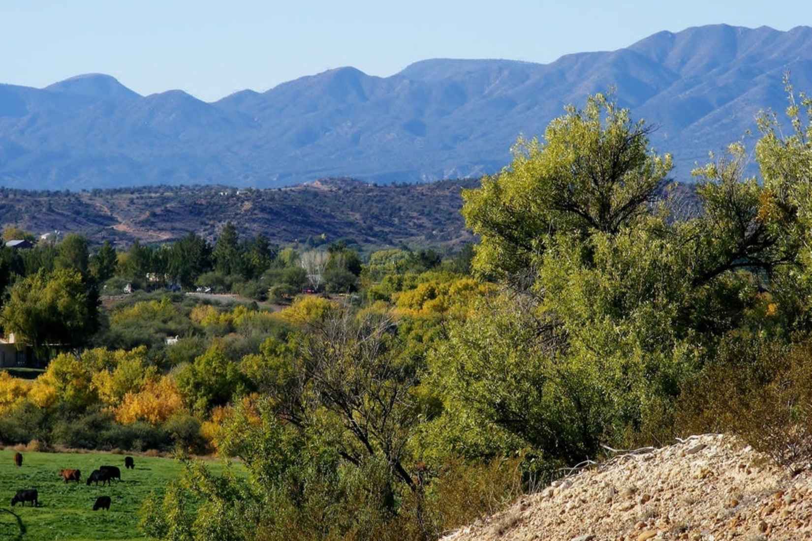 10964 E Majestic Vis Ln  