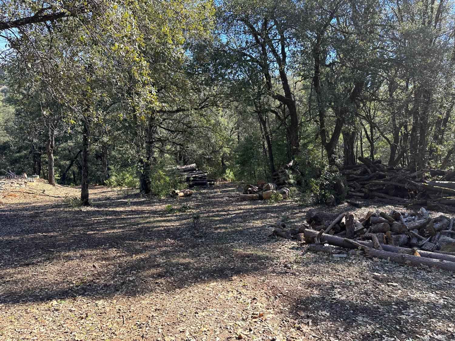 19121 Mineral Rdg Ct  