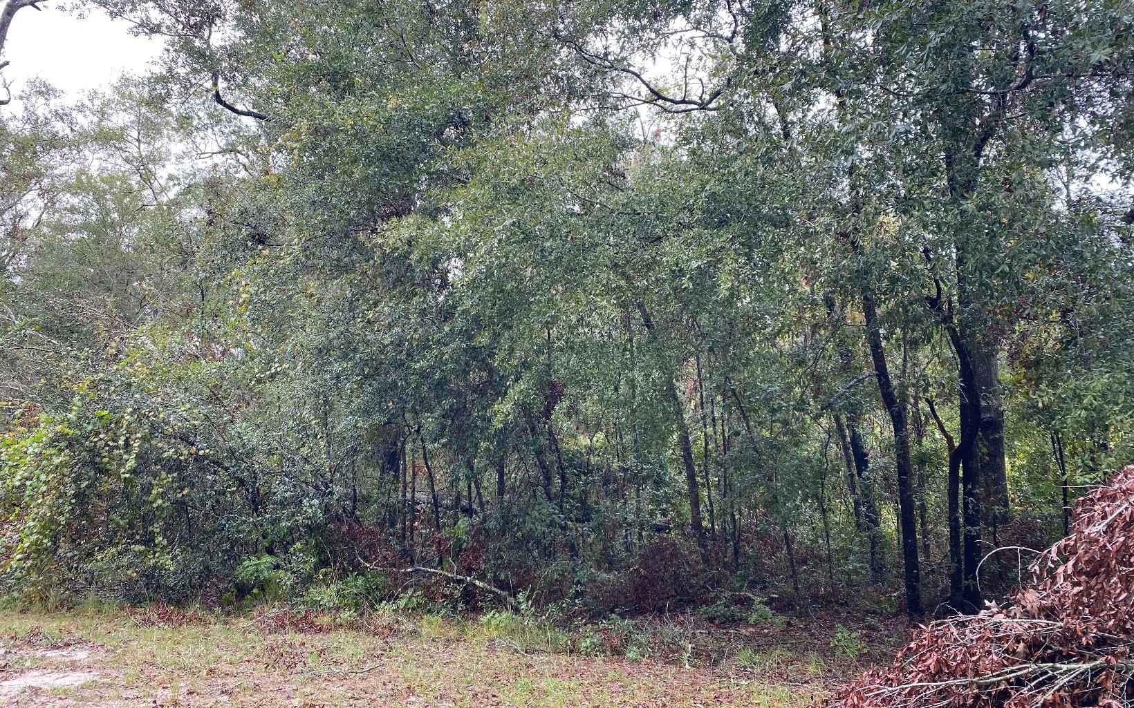 LOT13 NW BLUE OAK Ln  