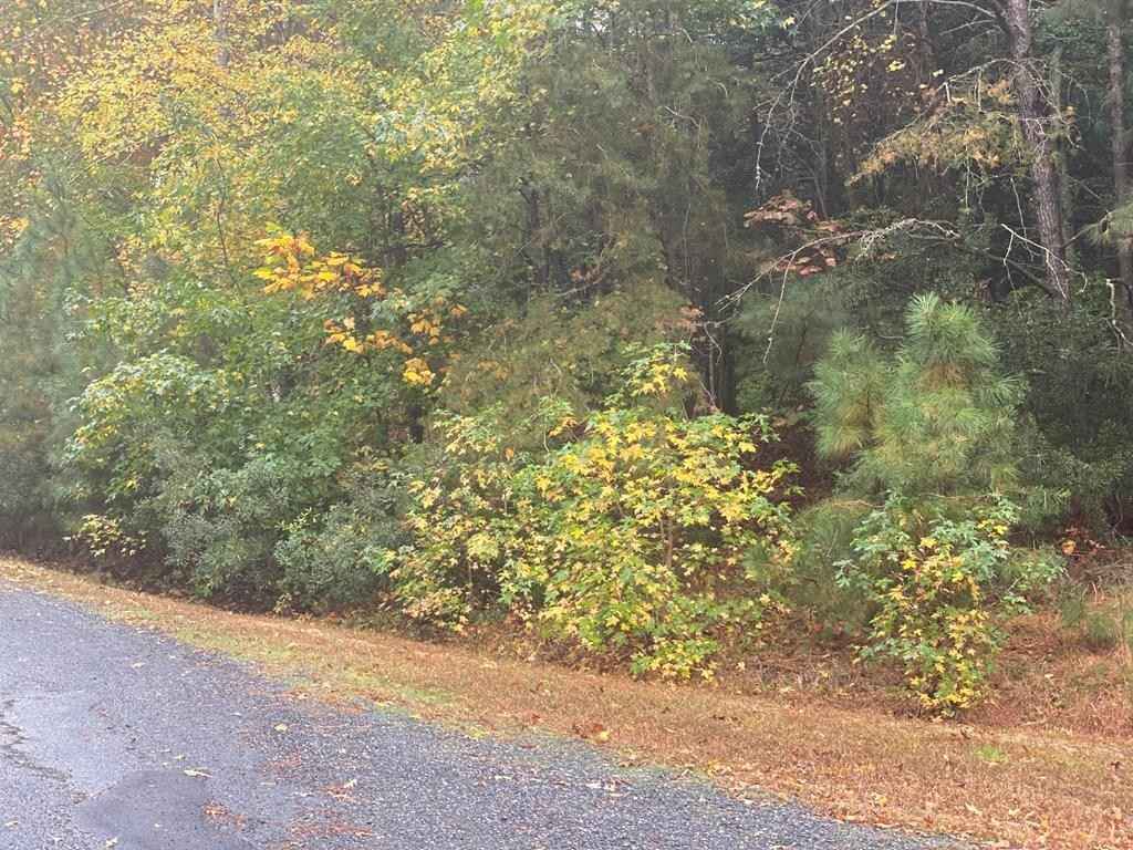 Lot1777 YEOMAN CT  