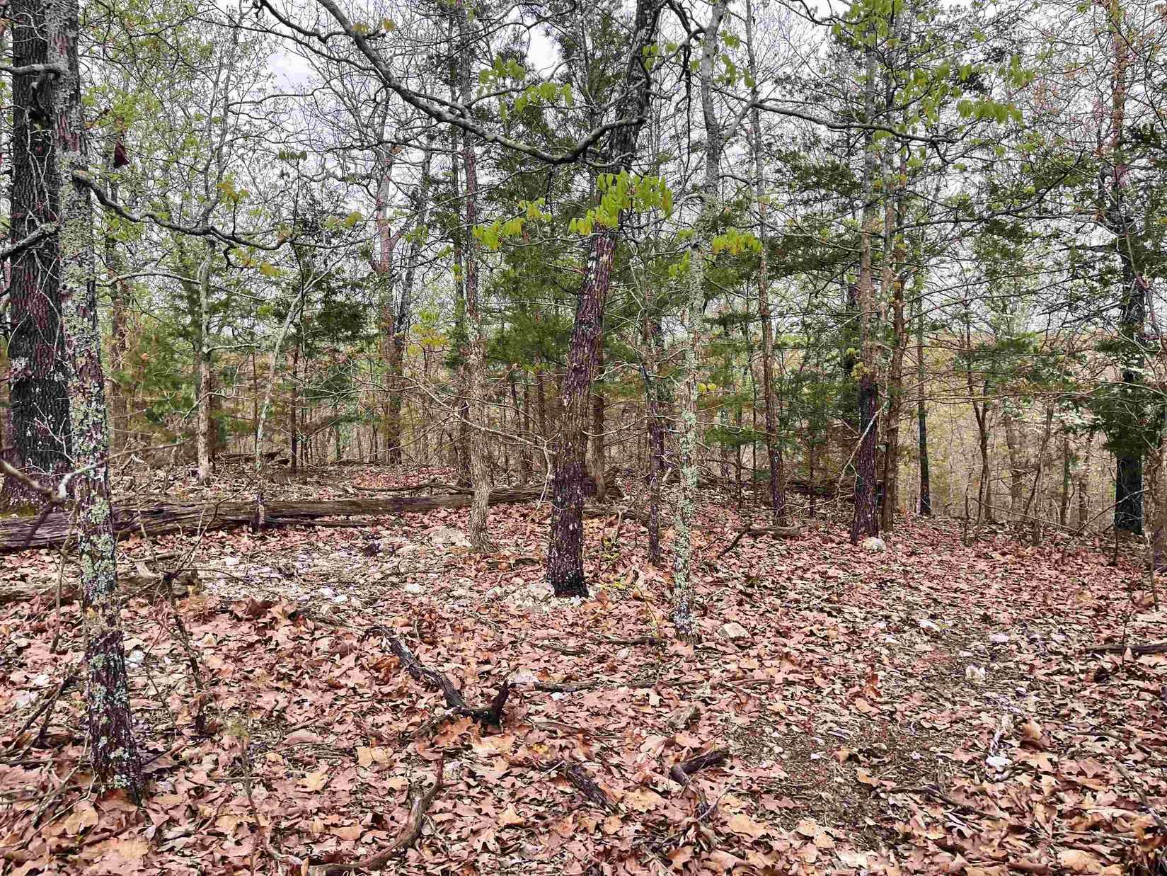 Lot 47 Cherokee Acres Dr  