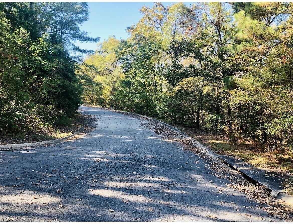 Lot 10 Norfork Dr  