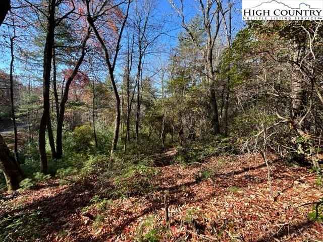 Lot 31 Thoreau Ct  