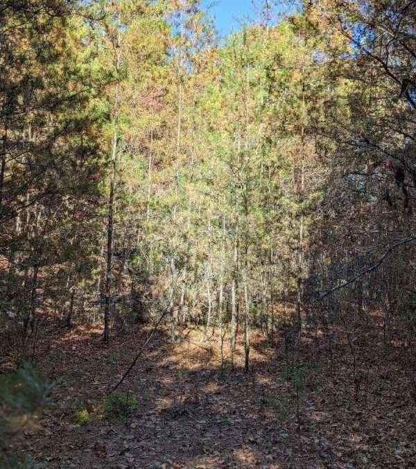 Lot 7 Lucias Paradise Way  