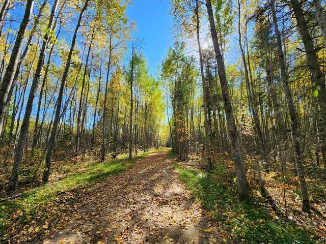 TBD County Rd 121  