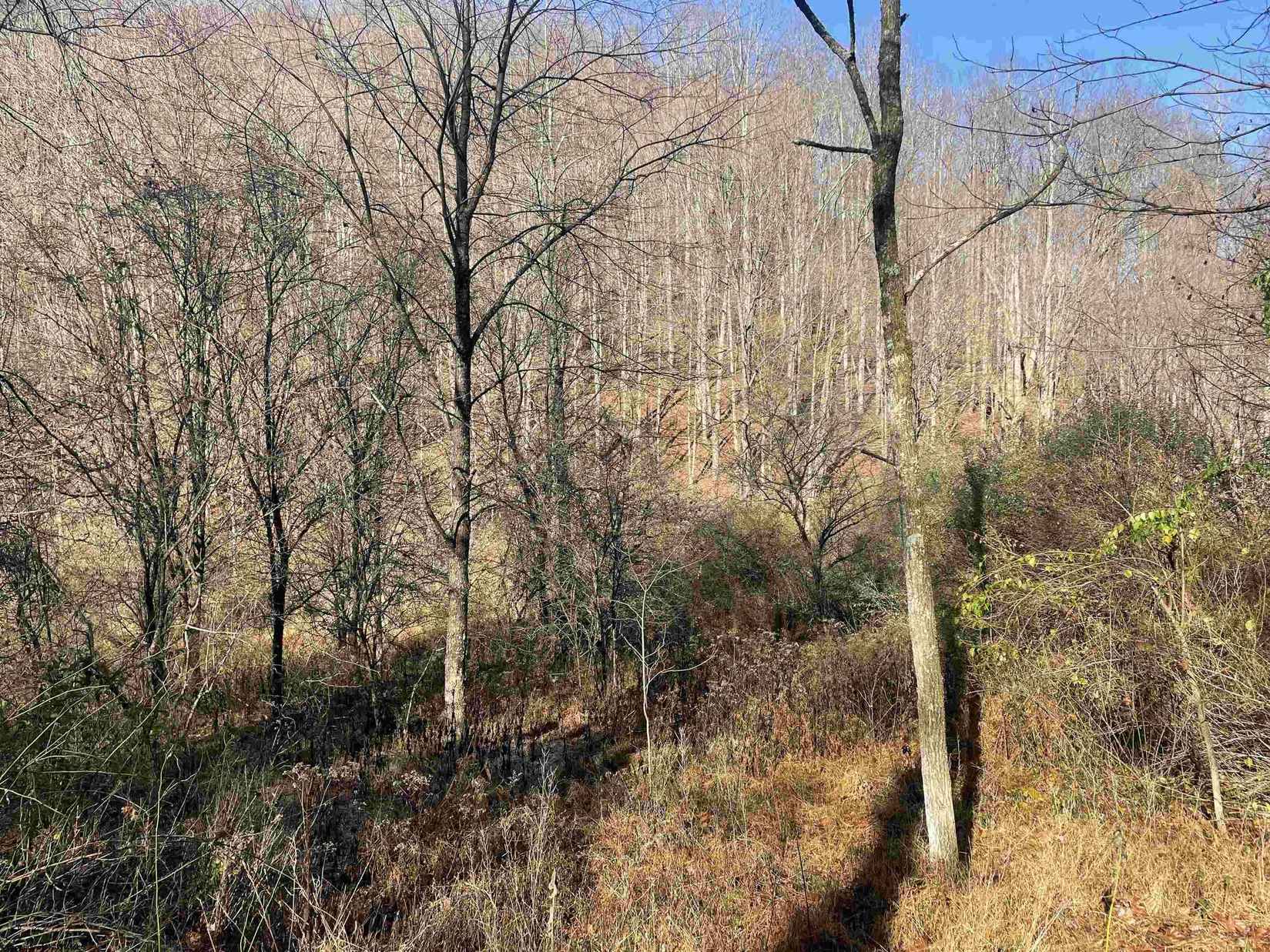 Lot 2 Jesse's Run Rd  