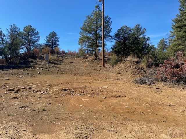 000 Silver Spruce Cir  