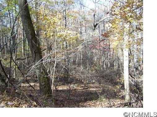 Lot 48 Whispering Woods Path  